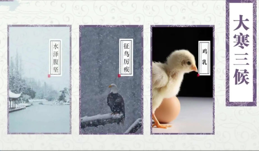 大寒三候.png