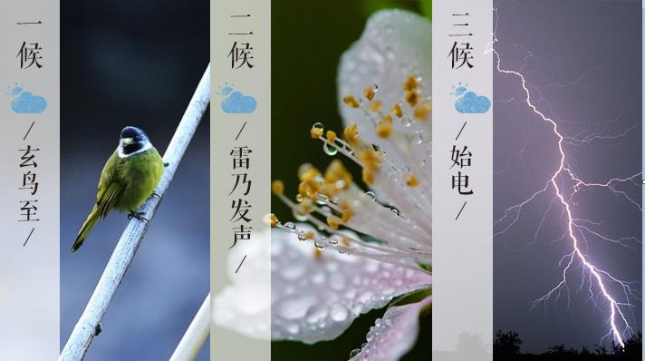 春分三候.jpg